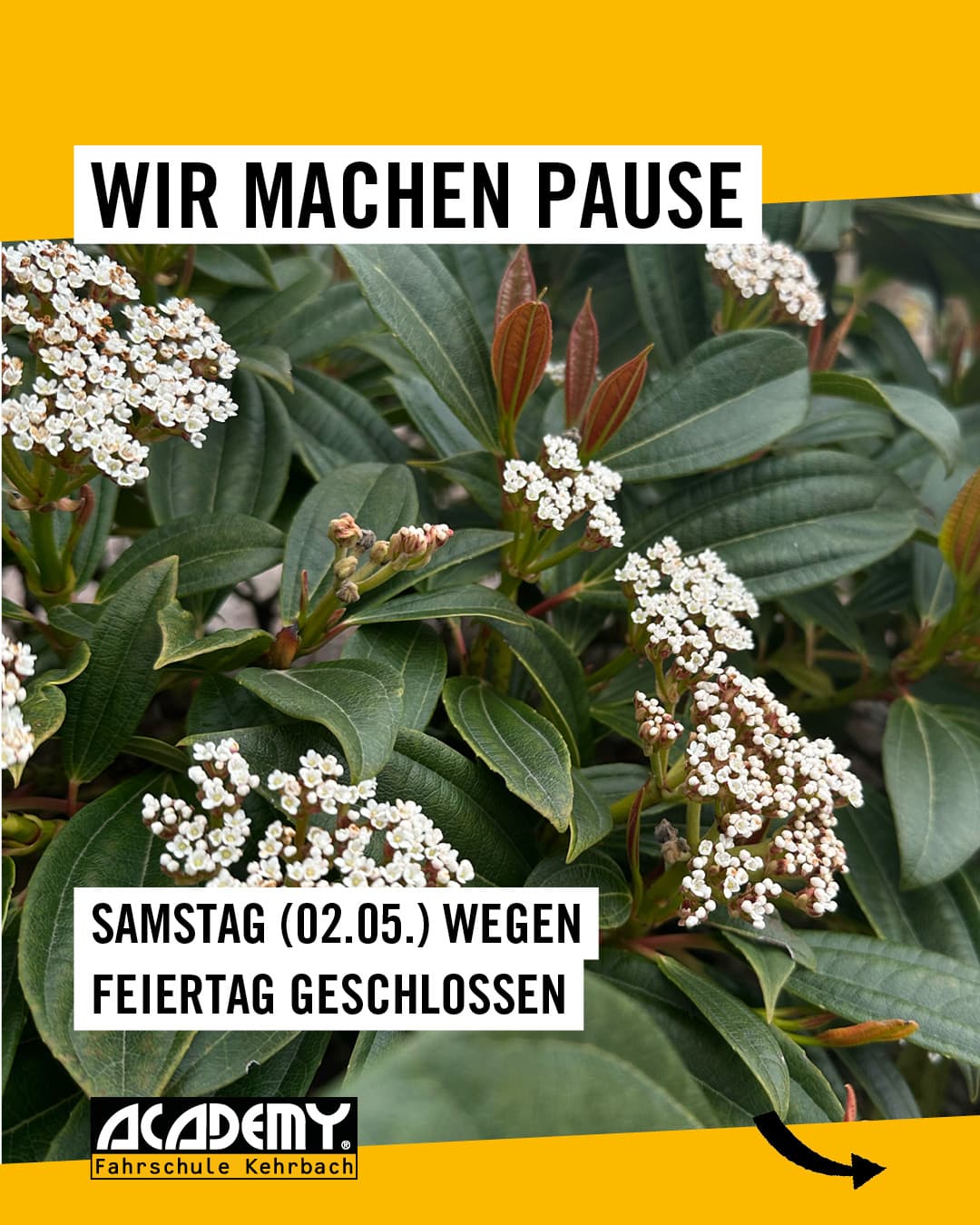 Wir machen am Samstag eine kleine Pause 🌼