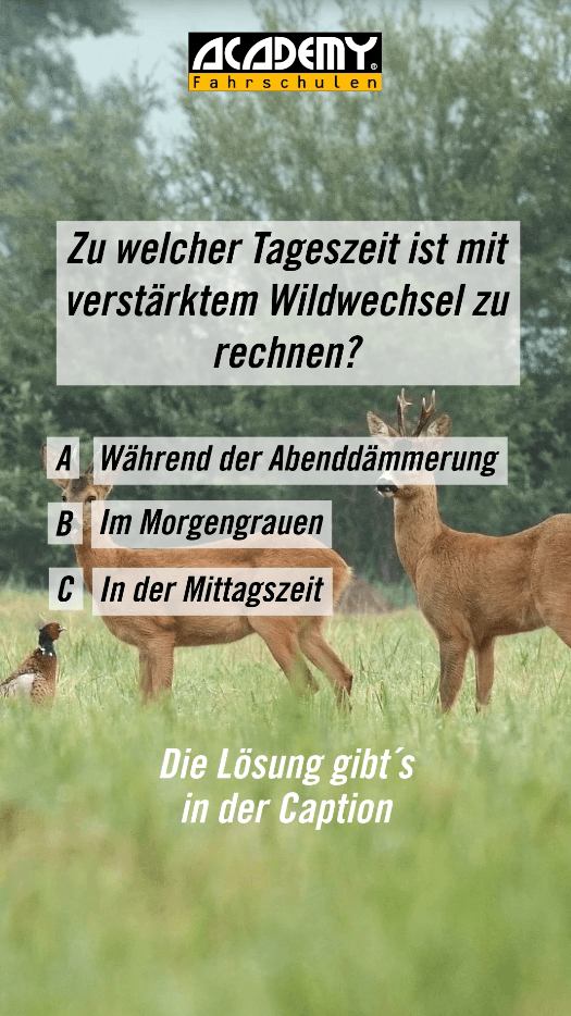 Herbst-Check mit ACADEMY: Wildwechsel 🦌