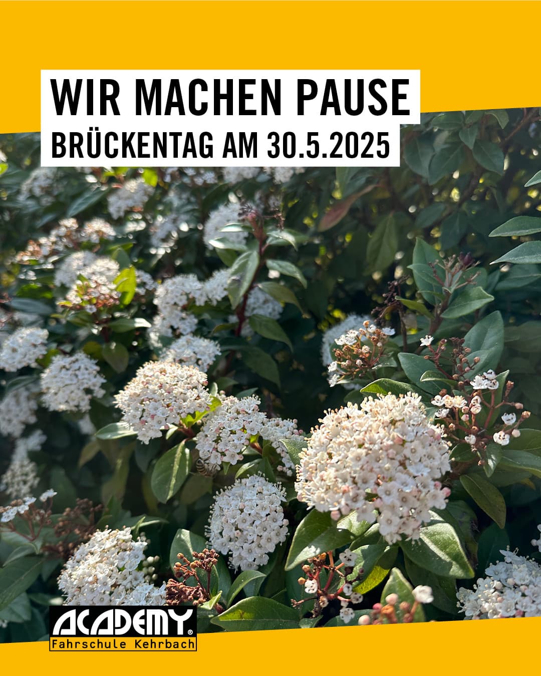 Mai: Wir machen Pause!