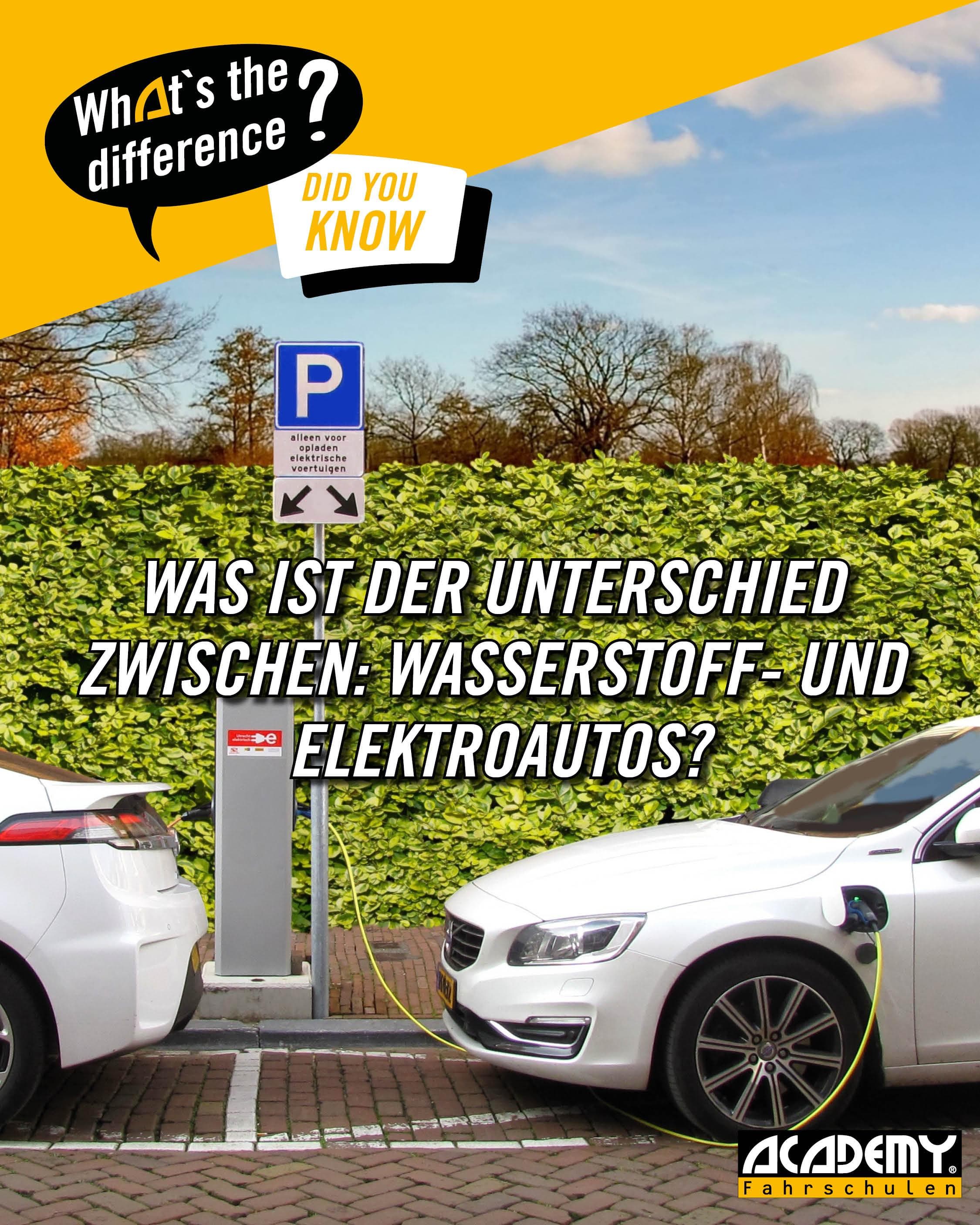 Wasserstoff vs. Elektro