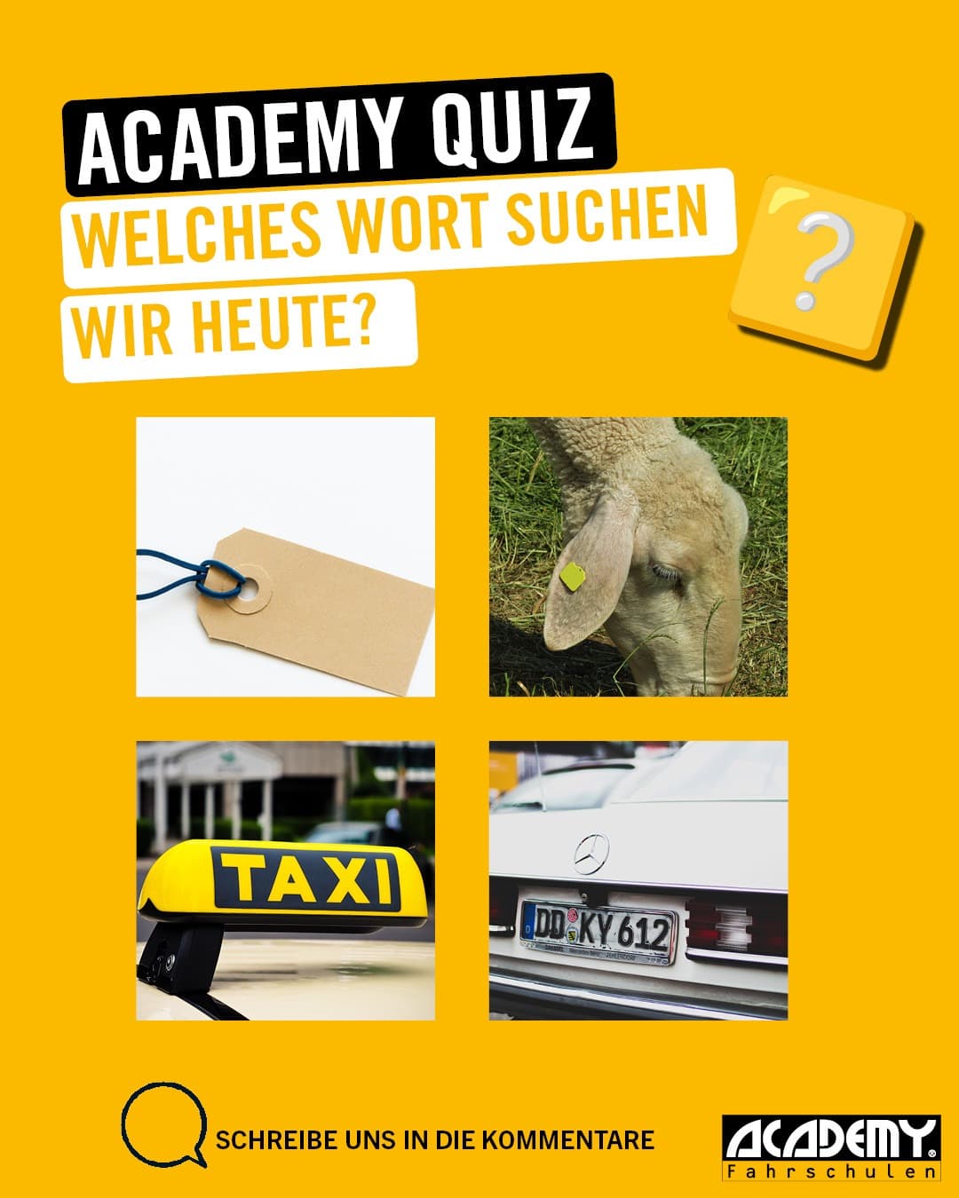 Bilderrätsel am Rosenmontag