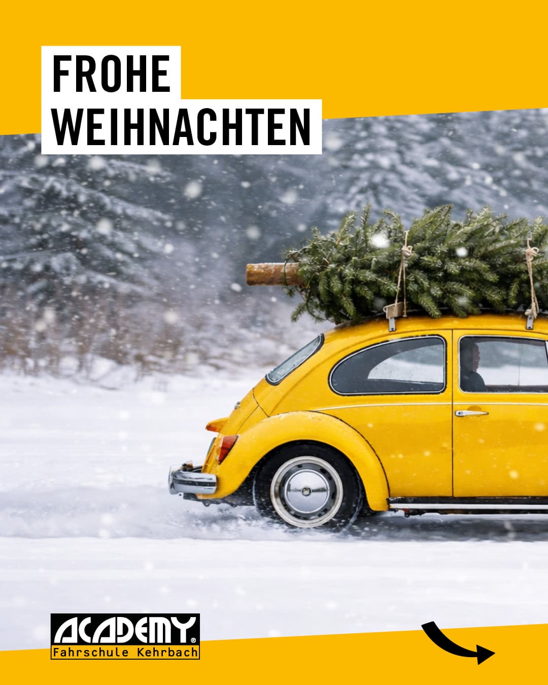 Frohe Weihnachten! 🎄