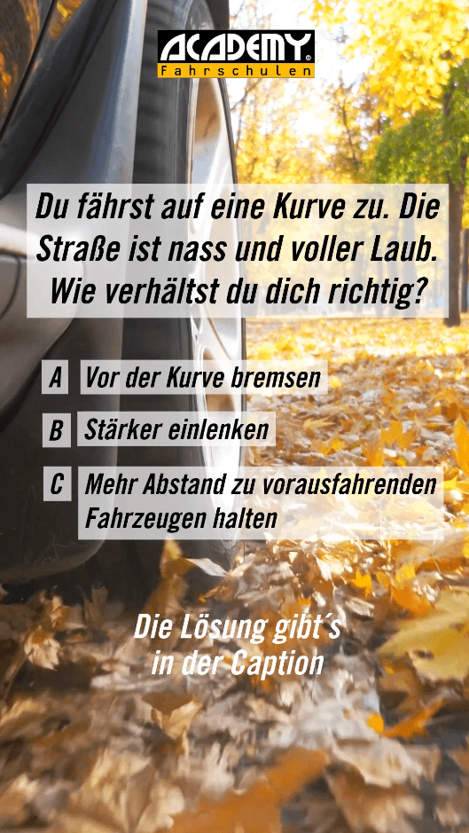 Herbst-Check mit ACADEMY: Laub