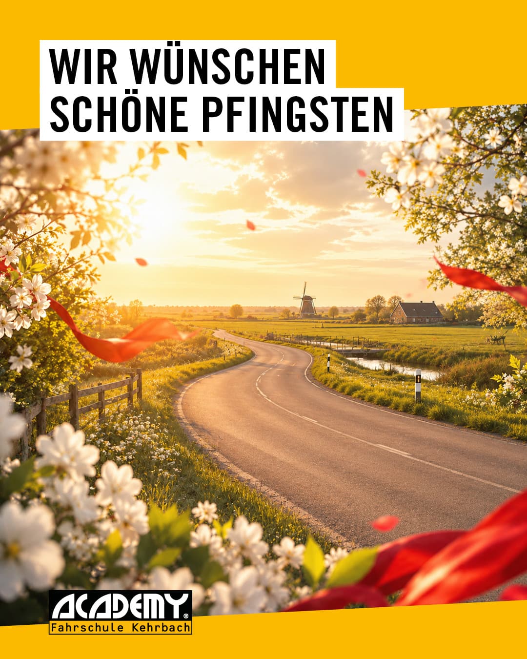 Schöne Pfingsttage! 🌿☀️