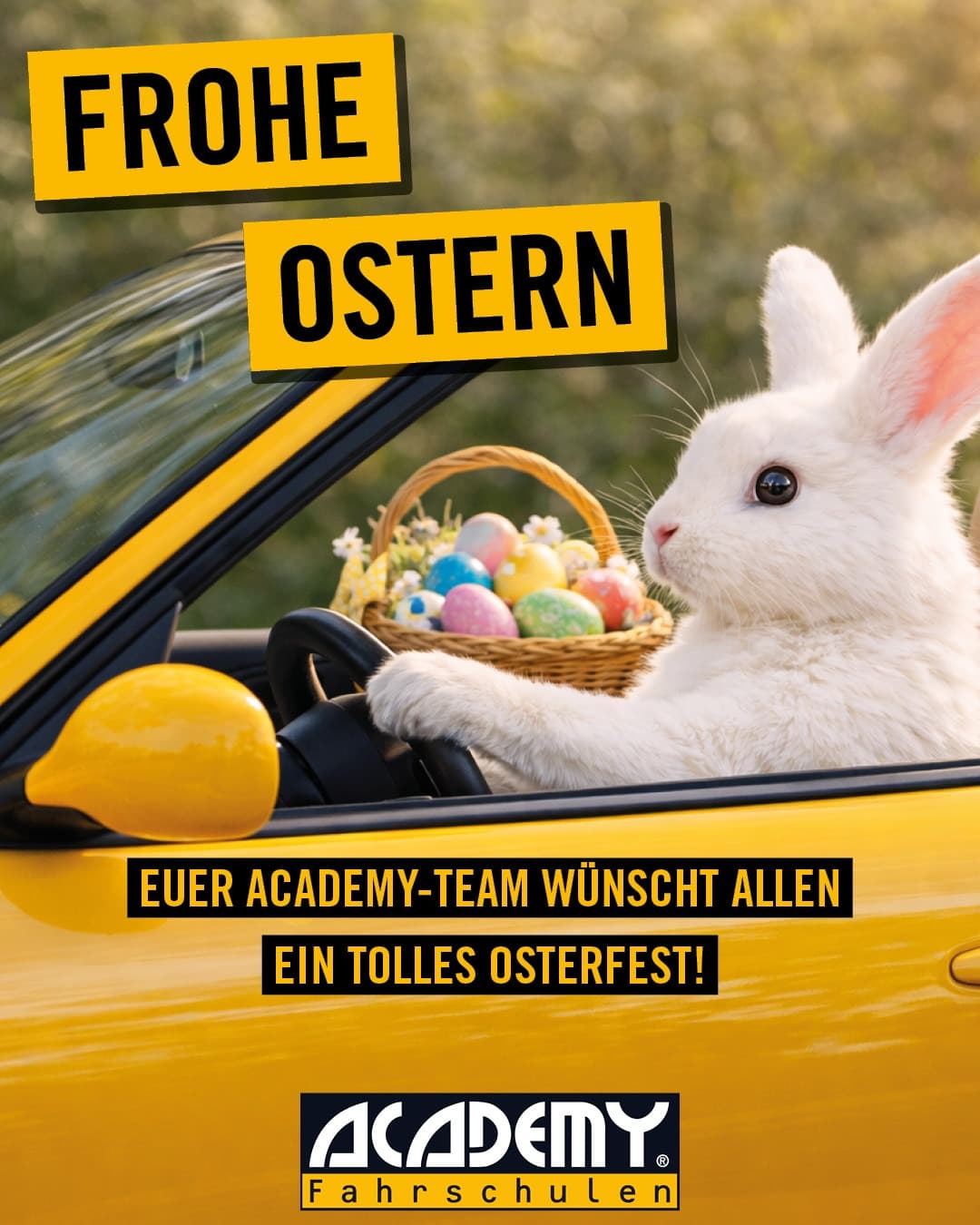 Frohe Ostern! 🐰